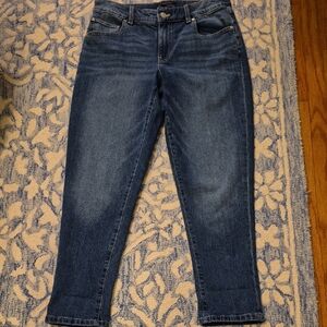 Talbots Classic Blue Straight Leg Jeans